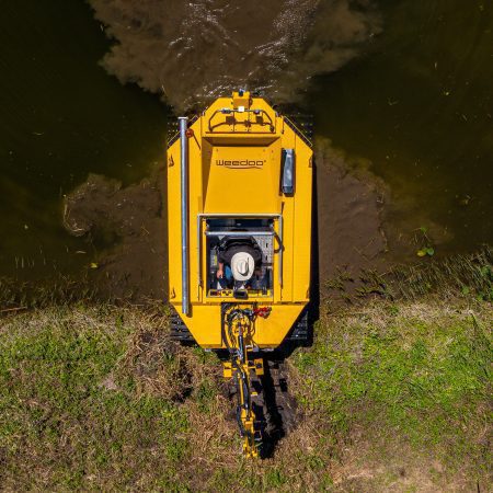 Amphi-King shoreline remediation