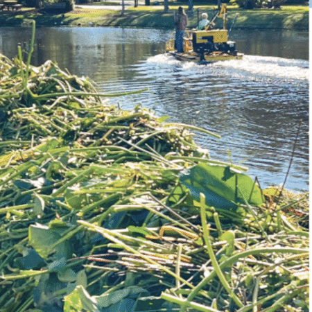 Say “Weedoo” Want To End Herbicide Spraying
