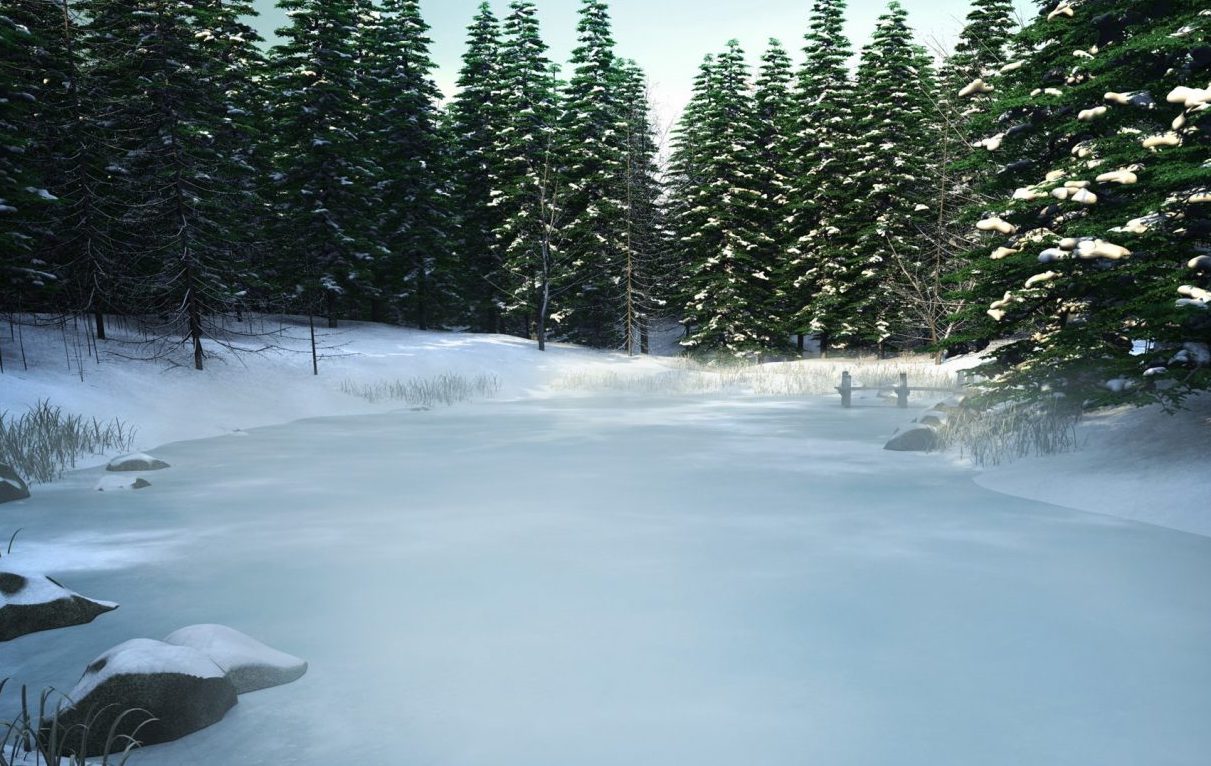 Wintertime water ecosystems