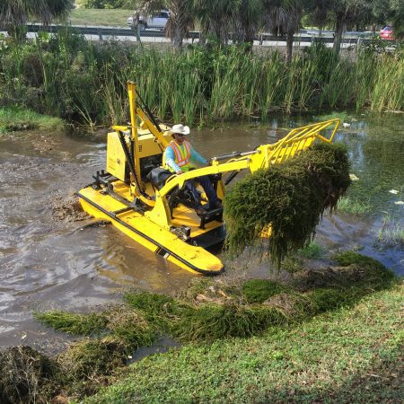 Hydrilla removal