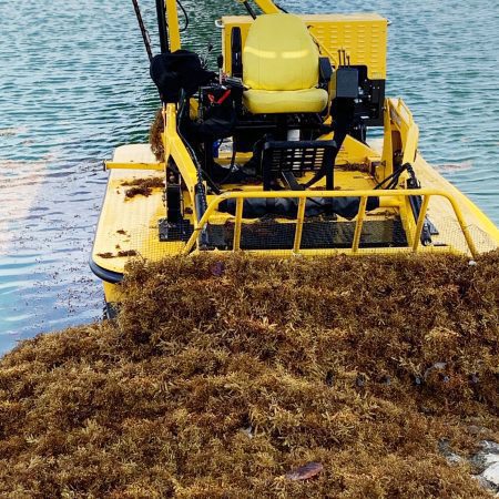 Sargassum Removal