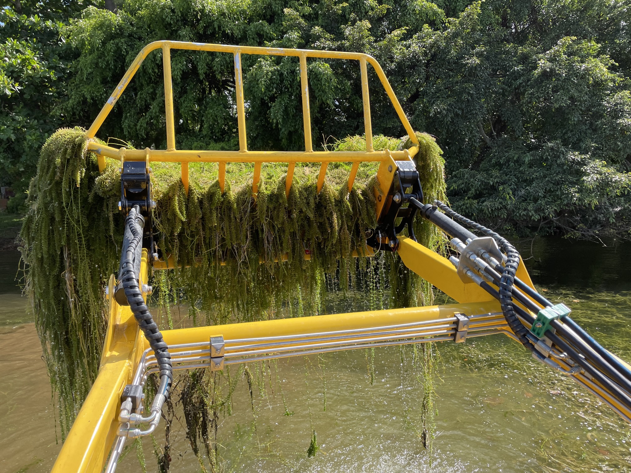 Weedoo Milfoil Removal
