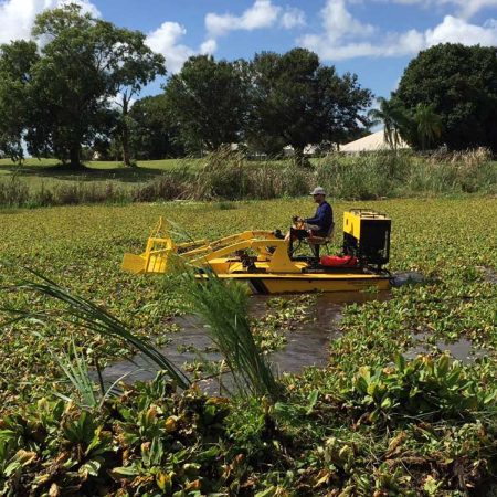 Weedoo Water Hyacinth Removal