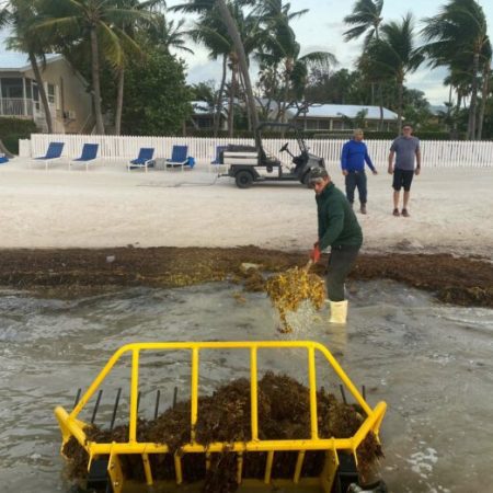 South Florida company offers ‘aquatic tractor’ as sargassum solution