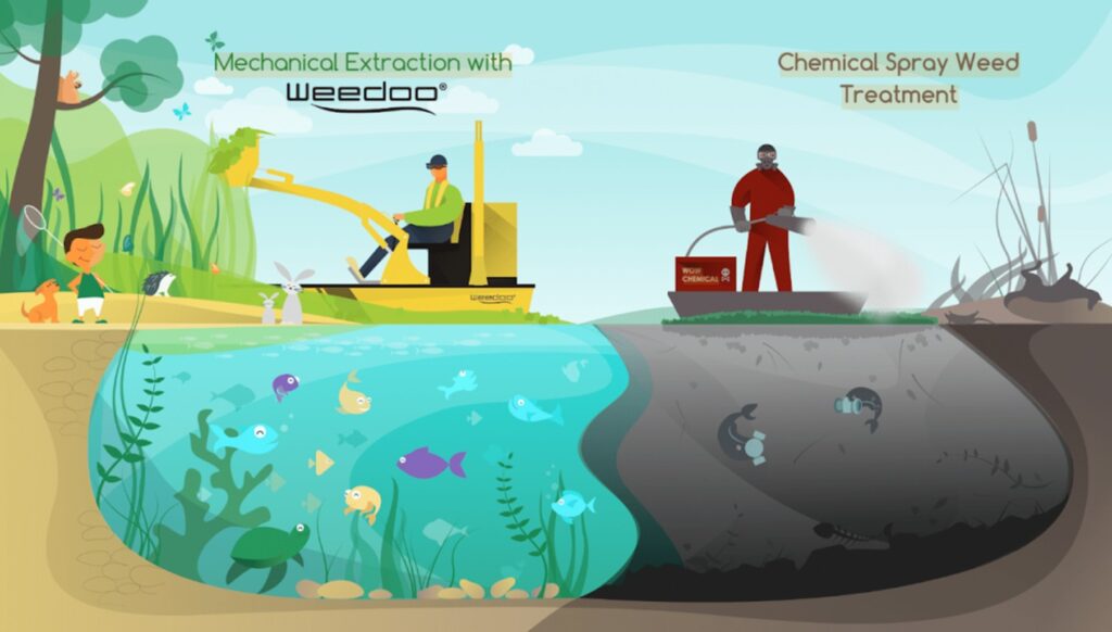 Mechanical extraction and chemical weed treatment comparison
