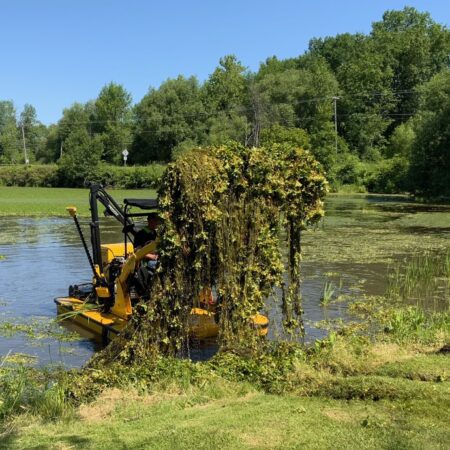 Clearing waterways of nuisance vegetation can be a green achievement