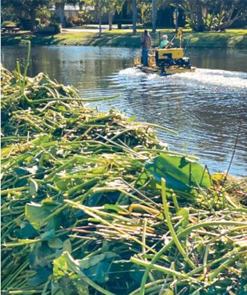 Say “Weedoo” Want To End Herbicide Spraying
